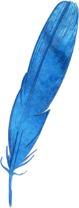 Blue Feather